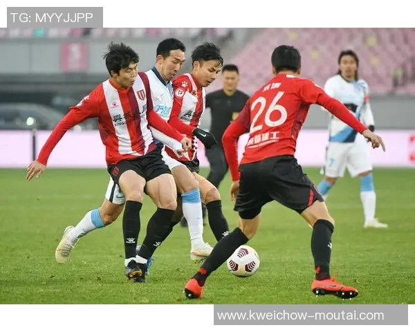 成都乒乓球队实力解析：从训练到比赛的全面剖析与展望